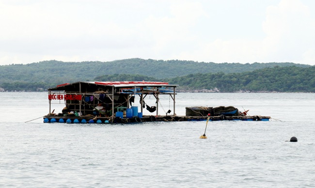 Phát triển nuôi nhuyễn thể