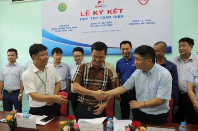 Hợp tác phát triển chuỗi cung ứng cá sạch