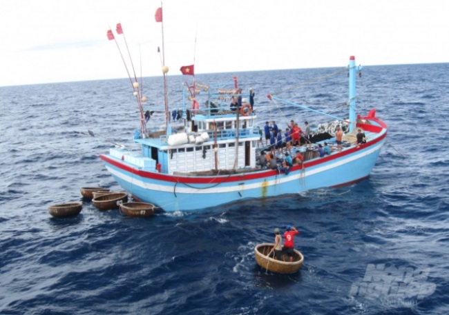 Bình Định: Mạnh tay hơn trong công tác chống khai thác IUU