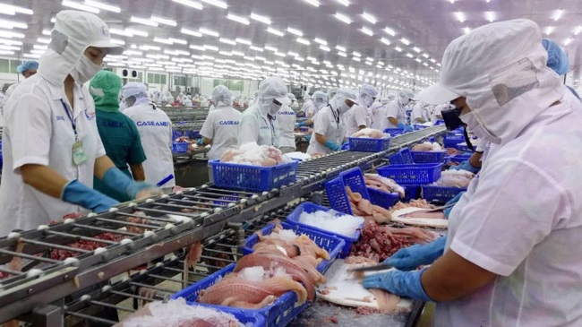 EVFTA - So sánh thuế nhập khẩu cá tra vào EU với các nước trong khu vực