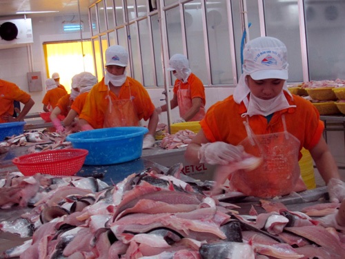 Thương mại Việt Nam - Israel: Khoảng cách nhập siêu dần thu hẹp