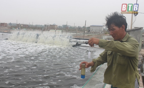 Chăm sóc tôm nuôi sau mưa bão