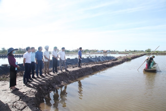 Ninh Bình: Trình diễn mô hình nuôi cua biển sử dụng chế phẩm sinh học