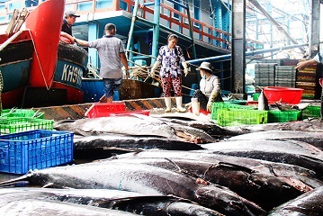 Khánh Hòa: Sản lượng thủy sản khai thác đạt hơn 57.840 tấn