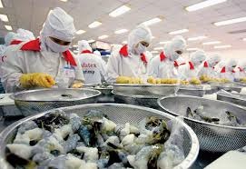 Được miễn thuế, hàng Việt dồn dập sang Pháp, Đức