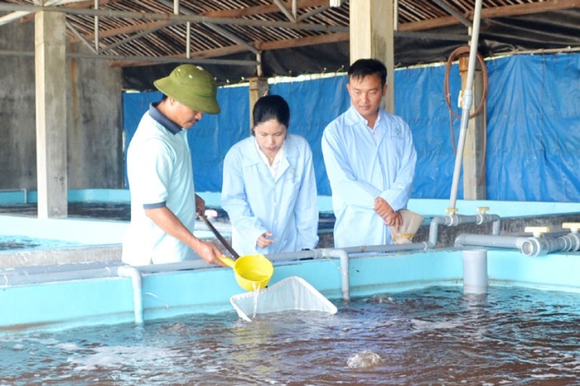 Kỹ sư Lê Hồng Duyệt với nhiều mô hình nuôi tôm bền vững