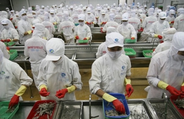 Chọn cổ phiếu đón đầu xu hướng phục hồi của ngành thủy sản