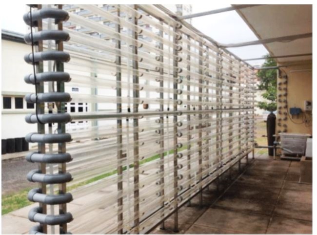 Quy trình nuôi vi tảo làm thức ăn trong sản xuất giống thủy sản