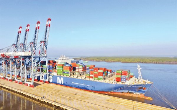 Nông sản xuất khẩu tăng tốc cùng EVFTA