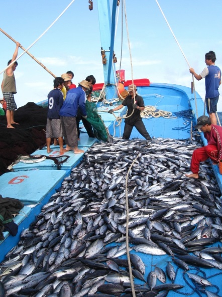 Nâng cao chất lượng, hiệu quả, sức cạnh tranh của sản phẩm thủy sản Việt Nam