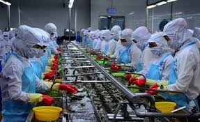 Cà Mau: 09 doanh nghiệp đạt danh hiệu ‘Doanh nghiệp xuất khẩu uy tín’ năm 2019