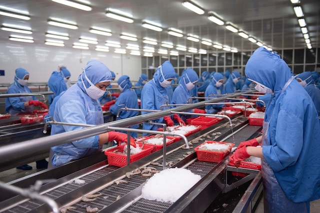 Làm gì để tôm và cá tra tránh rủi ro 