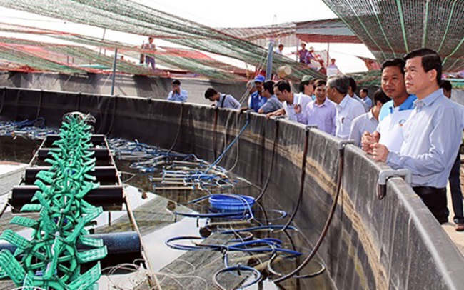 Ứng dụng công nghệ cao trong nuôi tôm