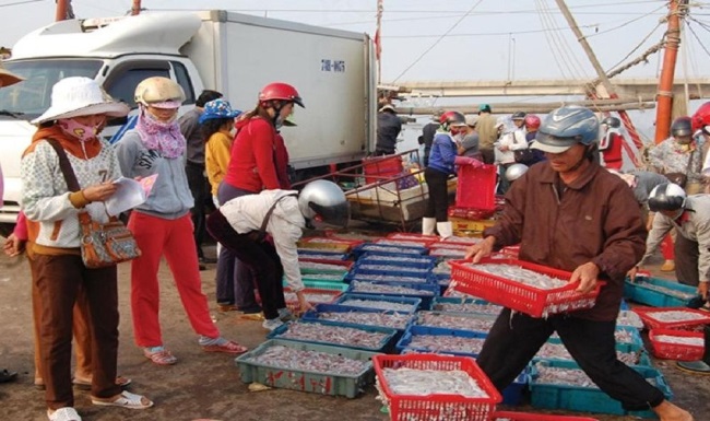 Quảng Trị: Khai thác thủy sản 9 tháng đầu năm ước đạt gần 24.000 tấn