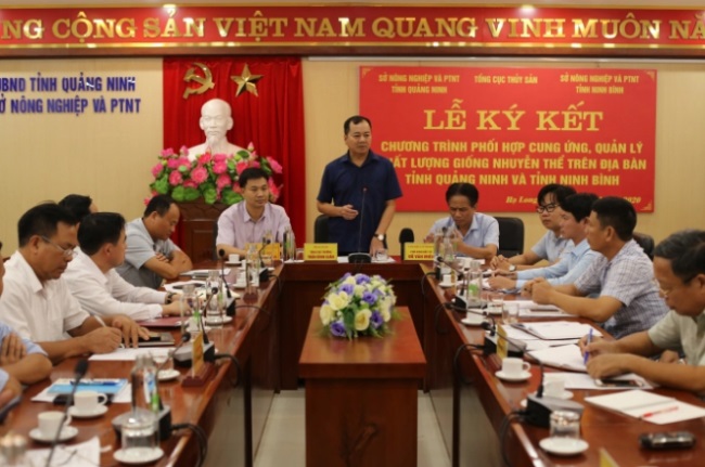 Ninh Bình sẽ cung ứng, quản lý chất lượng giống nhuyễn thể cho Quảng Ninh