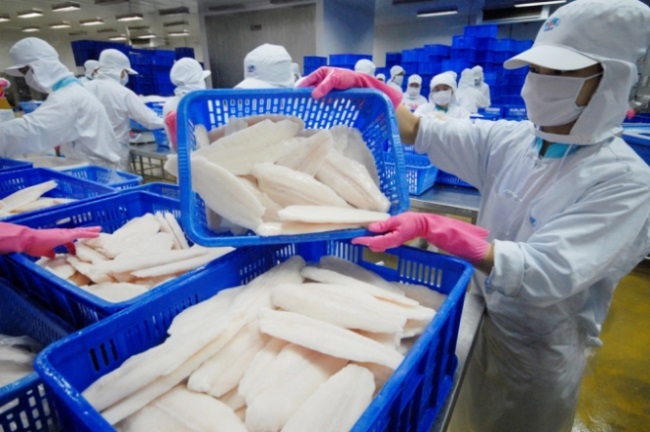 Quản lý an toàn thực phẩm ngành cá tra theo chuỗi giá trị