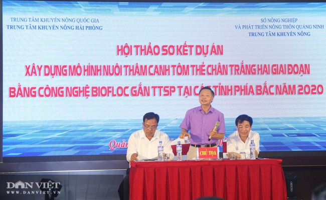 Quảng Ninh: "Đi sau về trước" trong nuôi tôm thâm canh bằng công nghệ Biofloc