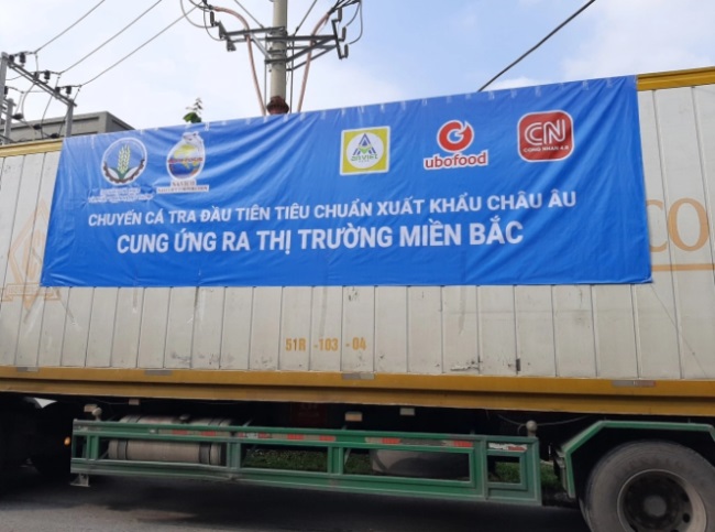 Cá tra tiêu chuẩn xuất khẩu Châu Âu 