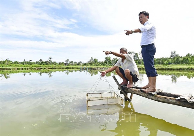 Cần nhân rộng mô hình nuôi tôm sú 3 giai đoạn tại những hộ dân có điều kiện