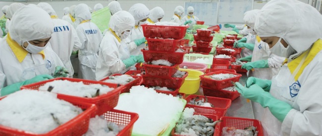 Ngành tôm cần tập trung vào hai "việc lớn"