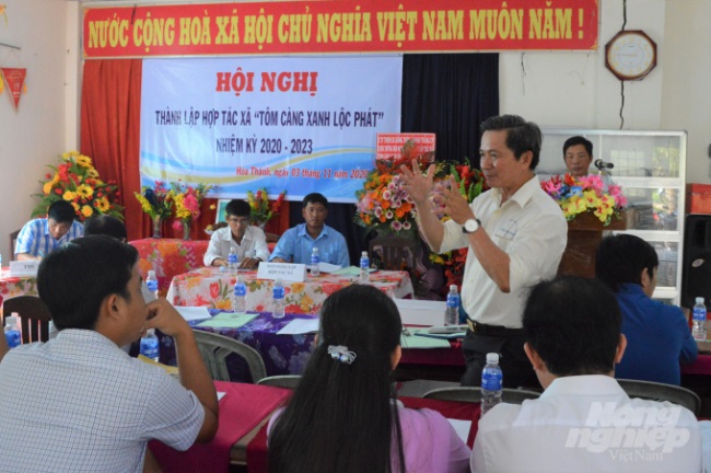 Kiên Giang: Thành lập hợp tác xã chuyên nuôi tôm càng xanh