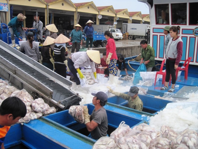 Nói ‘không’ với hải sản bất hợp pháp