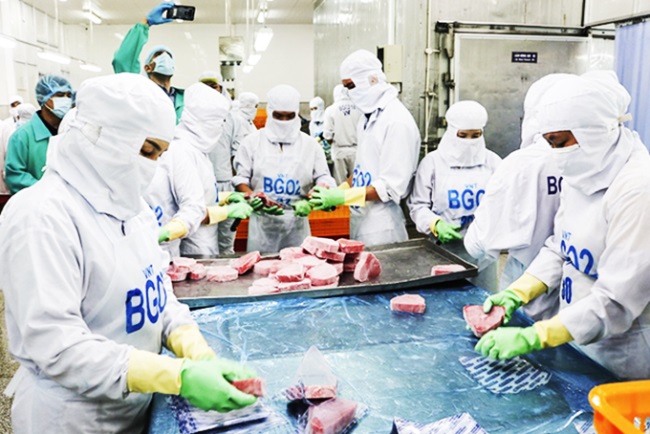 Thiếu nguyên liệu chế biến thủy sản