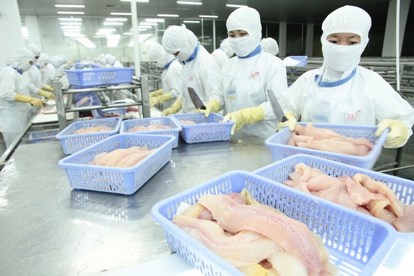 Doanh nghiệp xuất khẩu thủy hải sản gặp khó do Trung Quốc siết chặt kiểm soát