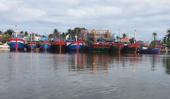 Sớm đầu tư, nâng cấp hạ tầng nghề cá ở Quảng Nam