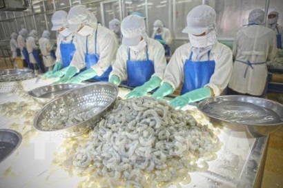 25/10/2018 – [HCM] Hội nghị “Trao đổi, kiến nghị giải quyết các vướng mắc & đề xuất giải pháp bền vững cho kiểm soát nguyên liệu thủy sản NK”