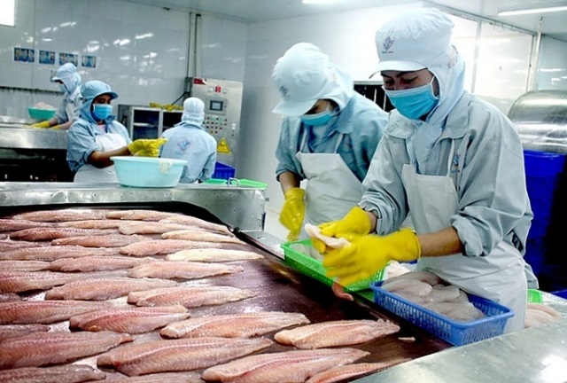 Xuất khẩu cá tra sang Trung Quốc vẫn còn diễn tiến chậm