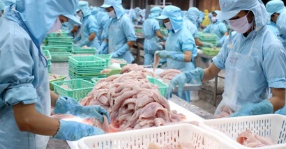 Xuất khẩu cá tra sang Ảrập Xêút tăng 13,8%