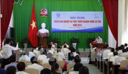 Ba nhiệm vụ trọng tâm để hoàn thành mục tiêu phát triển ngành cá tra 2018