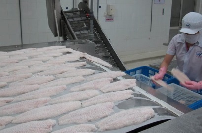 VASEP 20 năm và ước mơ cá tra 2.0