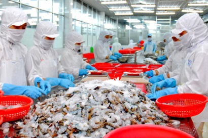 Xuất khẩu tôm sang Nhật Bản và EU phục hồi