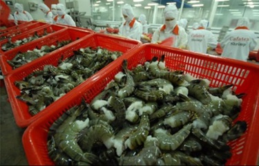 Áp lực đè nặng lên Thượng viện Mỹ về việc đưa tôm vào chương trình SIMP