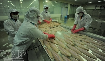 THÔNG CÁO BÁO CHÍ: Phản đối mức thuế trong quyết định sơ bộ của đợt xem xét hành chính POR13 đối với sản phẩm cá tra phi lê đông lạnh từ Việt Nam