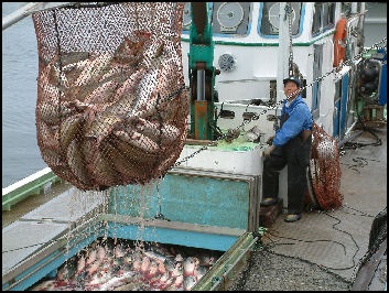 Phát triển thủy sản bền vững quan trọng với doanh nghiệp Nhật Bản