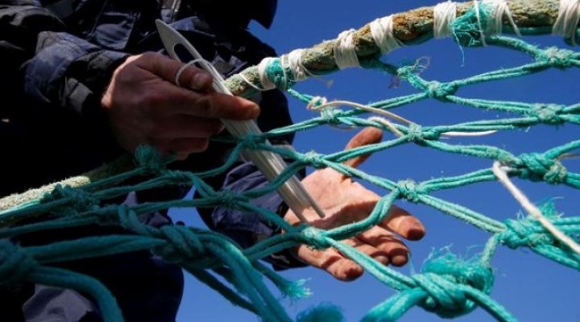 EU “sẵn sàng từ bỏ yêu cầu” tiếp cận nghề cá của Anh