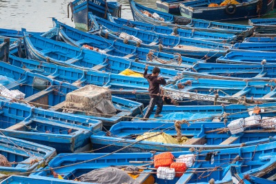 Covid-19 ảnh hưởng thủy sản khai thác của Argentina 