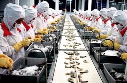 Nhật Bản hỗ trợ xây mô hình chuỗi giá trị thủy sản