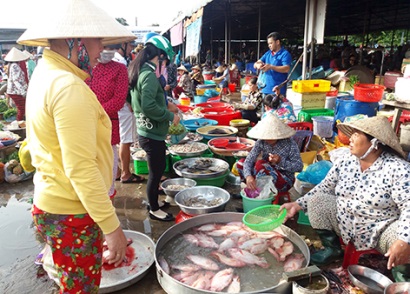 Hậu Giang: Giá cá đồng giảm hơn 10.000 đồng/kg