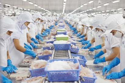 Thủy sản Vĩnh Hoàn đặt mục tiêu lãi nghìn tỷ trong 2 năm tới