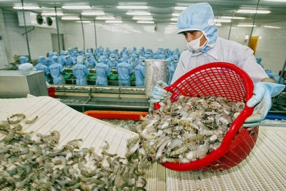 Phản hồi của phía Úc trước đề nghị của Bộ Công Thương liên quan đến lệnh tạm ngừng nhập khẩu tôm và thịt tôm chưa nấu chín