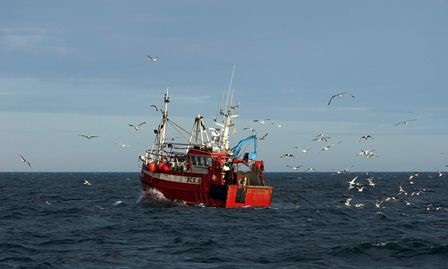 Anh tăng cường đội tàu bảo vệ nghề cá trong bối cảnh căng thẳng do Brexit
