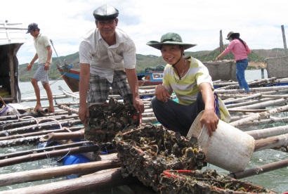 Nuôi trồng thủy sản tại Phú Yên: Tập trung phát triển các mô hình mới