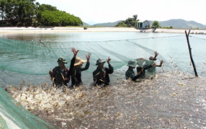 Bộ trưởng Nông nghiệp: Mời truyền thông quốc tế “giải oan” cho cá tra