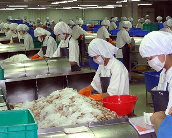 Ấn Độ: Xuất khẩu thủy sản giảm mạnh