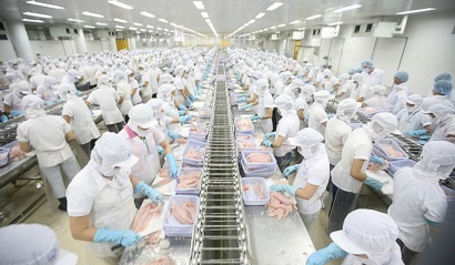 VASEP góp ý Dự thảo thông tư Quy định mức tiêu hao năng lượng trong ngành chế biến thủy sản