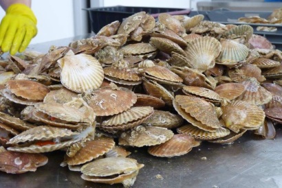 Mỹ, EU dự kiến khôi phục thương mại thủy sản có vỏ